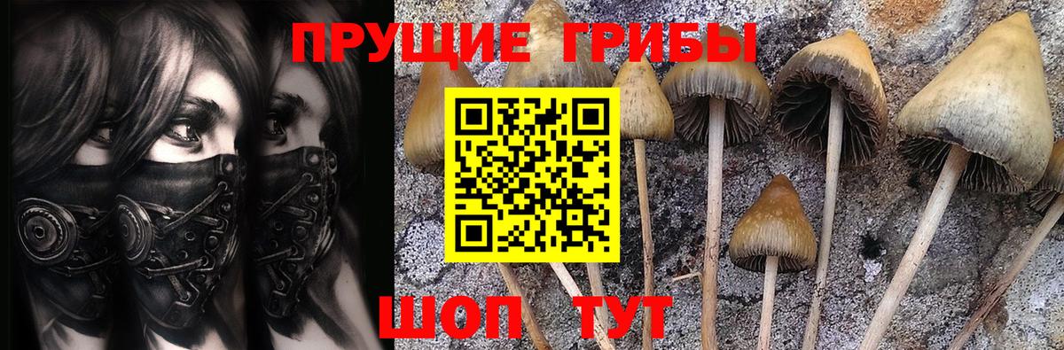 Галлюциногенные грибы мухоморы Богданович